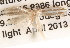  ( - BIOUG14610-B02)  @12 [ ] CreativeCommons - Attribution (2014) CBG Photography Group Centre for Biodiversity Genomics