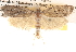  ( - BIOUG14610-F02)  @12 [ ] CreativeCommons - Attribution (2014) CBG Photography Group Centre for Biodiversity Genomics