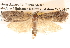  ( - BIOUG14610-F03)  @12 [ ] CreativeCommons - Attribution (2014) CBG Photography Group Centre for Biodiversity Genomics