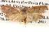  ( - BIOUG14610-H10)  @13 [ ] CreativeCommons - Attribution (2014) CBG Photography Group Centre for Biodiversity Genomics