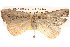 ( - BIOUG14611-F01)  @13 [ ] CreativeCommons - Attribution (2014) CBG Photography Group Centre for Biodiversity Genomics
