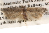  ( - BIOUG14611-F06)  @14 [ ] CreativeCommons - Attribution (2014) CBG Photography Group Centre for Biodiversity Genomics