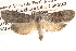  ( - BIOUG14611-G10)  @14 [ ] CreativeCommons - Attribution (2014) CBG Photography Group Centre for Biodiversity Genomics