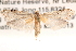  ( - BIOUG14612-A06)  @13 [ ] CreativeCommons - Attribution (2014) CBG Photography Group Centre for Biodiversity Genomics