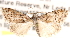  ( - BIOUG14612-C04)  @13 [ ] CreativeCommons - Attribution (2014) CBG Photography Group Centre for Biodiversity Genomics