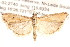  ( - BIOUG14612-C10)  @14 [ ] CreativeCommons - Attribution (2014) CBG Photography Group Centre for Biodiversity Genomics