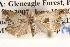  ( - BIOUG14612-F10)  @13 [ ] CreativeCommons - Attribution (2014) CBG Photography Group Centre for Biodiversity Genomics
