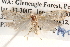  ( - BIOUG14612-G02)  @13 [ ] CreativeCommons - Attribution (2014) CBG Photography Group Centre for Biodiversity Genomics