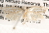  ( - BIOUG14612-G08)  @13 [ ] CreativeCommons - Attribution (2014) CBG Photography Group Centre for Biodiversity Genomics
