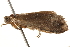  ( - BIOUG14613-B10)  @12 [ ] CreativeCommons - Attribution (2014) CBG Photography Group Centre for Biodiversity Genomics