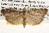  ( - BIOUG14613-C10)  @14 [ ] CreativeCommons - Attribution (2014) CBG Photography Group Centre for Biodiversity Genomics
