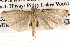 ( - BIOUG14613-C12)  @14 [ ] CreativeCommons - Attribution (2014) CBG Photography Group Centre for Biodiversity Genomics