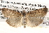  ( - BIOUG14613-D02)  @14 [ ] CreativeCommons - Attribution (2014) CBG Photography Group Centre for Biodiversity Genomics