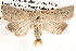  ( - BIOUG14613-D04)  @14 [ ] CreativeCommons - Attribution (2014) CBG Photography Group Centre for Biodiversity Genomics