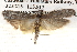  ( - BIOUG14613-D10)  @15 [ ] CreativeCommons - Attribution (2014) CBG Photography Group Centre for Biodiversity Genomics
