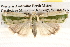  ( - BIOUG14613-E03)  @14 [ ] CreativeCommons - Attribution (2014) CBG Photography Group Centre for Biodiversity Genomics
