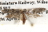  ( - BIOUG14613-E09)  @14 [ ] CreativeCommons - Attribution (2014) CBG Photography Group Centre for Biodiversity Genomics