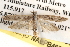  ( - BIOUG14613-G05)  @14 [ ] CreativeCommons - Attribution (2014) CBG Photography Group Centre for Biodiversity Genomics