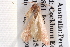  ( - BIOUG14614-C09)  @12 [ ] CreativeCommons - Attribution (2014) CBG Photography Group Centre for Biodiversity Genomics