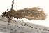  ( - BIOUG14614-F07)  @12 [ ] CreativeCommons - Attribution (2014) CBG Photography Group Centre for Biodiversity Genomics