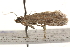  ( - BIOUG14614-H06)  @12 [ ] CreativeCommons - Attribution (2014) CBG Photography Group Centre for Biodiversity Genomics
