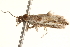 ( - BIOUG16501-E03)  @12 [ ] CreativeCommons - Attribution (2014) CBG Photography Group Centre for Biodiversity Genomics