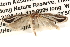  ( - BIOUG16502-A11)  @13 [ ] CreativeCommons - Attribution (2014) CBG Photography Group Centre for Biodiversity Genomics