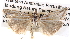 ( - BIOUG16502-B01)  @14 [ ] CreativeCommons - Attribution (2014) CBG Photography Group Centre for Biodiversity Genomics