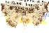 ( - BIOUG16503-E01)  @14 [ ] CreativeCommons - Attribution (2014) CBG Photography Group Centre for Biodiversity Genomics