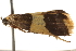  ( - BIOUG16503-G10)  @13 [ ] CreativeCommons - Attribution (2014) CBG Photography Group Centre for Biodiversity Genomics