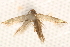  ( - BIOUG16504-B08)  @13 [ ] CreativeCommons - Attribution (2014) CBG Photography Group Centre for Biodiversity Genomics
