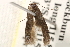  ( - BIOUG16504-G12)  @13 [ ] CreativeCommons - Attribution (2014) CBG Photography Group Centre for Biodiversity Genomics