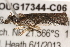 ( - BIOUG17344-C06)  @12 [ ] CreativeCommons - Attribution (2014) CBG Photography Group Centre for Biodiversity Genomics