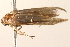  ( - BIOUG18342-C06)  @12 [ ] CreativeCommons - Attribution (2015) CBG Photography Group Centre for Biodiversity Genomics