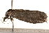  ( - BIOUG18342-D02)  @12 [ ] CreativeCommons - Attribution (2015) CBG Photography Group Centre for Biodiversity Genomics