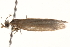  ( - BIOUG18342-E07)  @12 [ ] CreativeCommons - Attribution (2015) CBG Photography Group Centre for Biodiversity Genomics