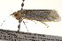  ( - BIOUG18342-F03)  @13 [ ] CreativeCommons - Attribution (2015) CBG Photography Group Centre for Biodiversity Genomics