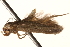  ( - BIOUG18342-H02)  @12 [ ] CreativeCommons - Attribution (2015) CBG Photography Group Centre for Biodiversity Genomics