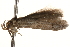  ( - BIOUG18342-H05)  @13 [ ] CreativeCommons - Attribution (2015) CBG Photography Group Centre for Biodiversity Genomics