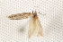  ( - BIOUG18343-A10)  @12 [ ] CreativeCommons - Attribution (2015) CBG Photography Group Centre for Biodiversity Genomics
