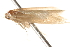  ( - BIOUG18343-B06)  @12 [ ] CreativeCommons - Attribution (2015) CBG Photography Group Centre for Biodiversity Genomics