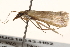  ( - BIOUG18343-H02)  @13 [ ] CreativeCommons - Attribution (2015) CBG Photography Group Centre for Biodiversity Genomics