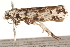  ( - BIOUG18344-C05)  @12 [ ] CreativeCommons - Attribution (2015) Unspecified Centre for Biodiversity Genomics