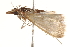  ( - BIOUG18344-C07)  @13 [ ] CreativeCommons - Attribution (2015) Unspecified Centre for Biodiversity Genomics