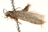  ( - BIOUG18344-H09)  @13 [ ] CreativeCommons - Attribution (2015) Unspecified Centre for Biodiversity Genomics