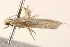  ( - BIOUG18345-B04)  @13 [ ] CreativeCommons - Attribution (2015) CBG Photography Group Centre for Biodiversity Genomics