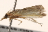  ( - BIOUG18345-G02)  @13 [ ] CreativeCommons - Attribution (2015) CBG Photography Group Centre for Biodiversity Genomics