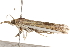  ( - BIOUG18346-C08)  @13 [ ] CreativeCommons - Attribution (2015) CBG Photography Group Centre for Biodiversity Genomics