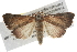  ( - BIOUG10024-B01)  @14 [ ] CreativeCommons - Attribution (2014) CBG Photography Group Centre for Biodiversity Genomics