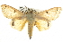  ( - BIOUG10024-C03)  @14 [ ] CreativeCommons - Attribution (2014) CBG Photography Group Centre for Biodiversity Genomics